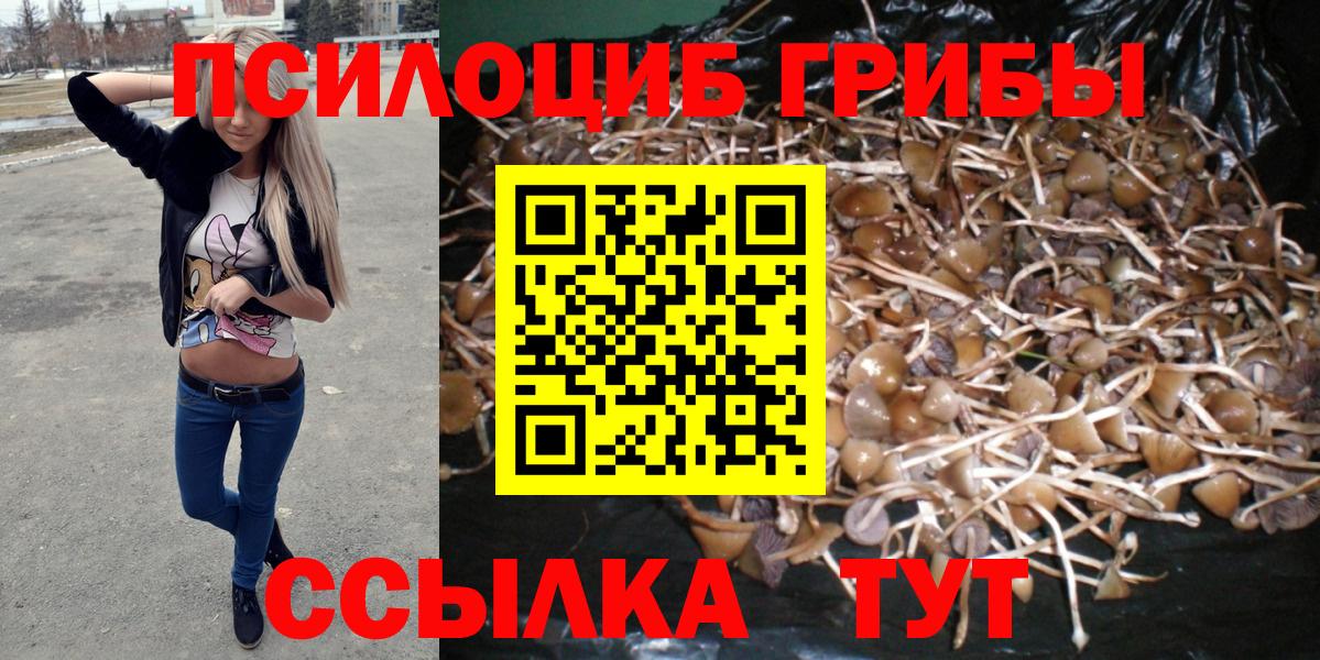 Галлюциногенные грибы Magic Shrooms  Вход с VPN  Карачаевск  Галлюциногенные грибы прущие грибы 