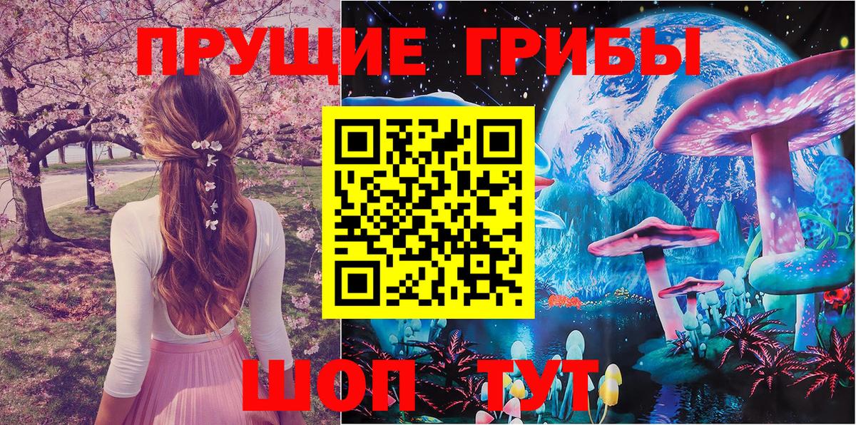 Псилоцибиновые грибы MAGIC MUSHROOMS Карачаевск